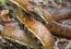Saving Snakes: An Interview with Nicolette Cagle